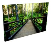 Acoustic Geometry - Forest Boardwalk Acoustic Wall Art - Multi